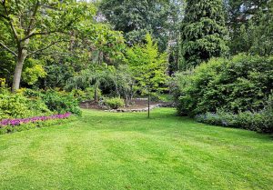 Optimiser l'expérience du jardin à Bruay-sur-l'Escaut